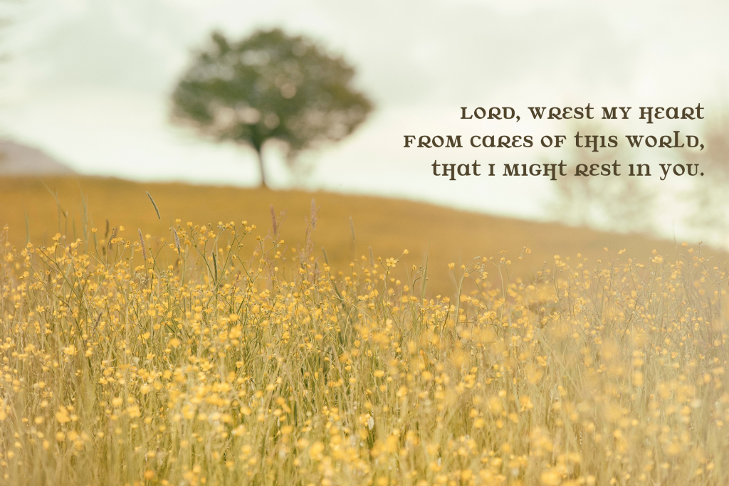 Lord, wrest my heart from cares of this world, that I might rest in You.